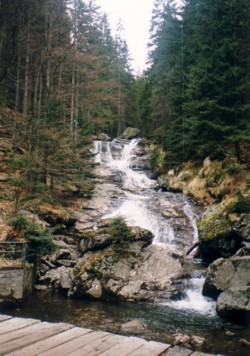 Idylle aus Wald und Wasser